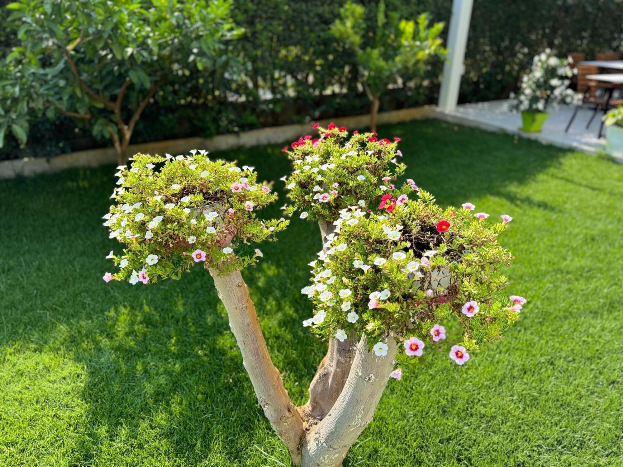 Villa Ax Mirage Vlorë 外观 照片